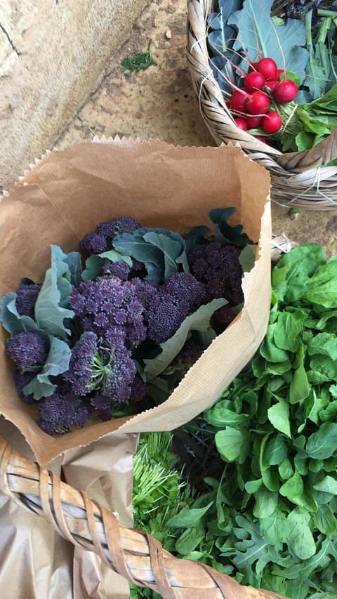 Farm-Basket — photograph 3