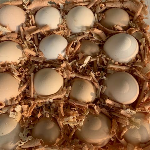 Farm-Basket — photograph 5