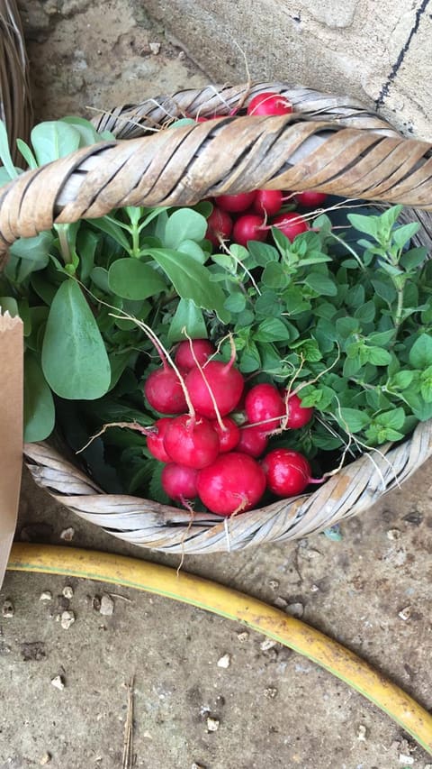 Farm-Basket — photograph 6