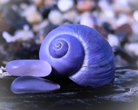 Mazraa Lil Halazon — photograph 2