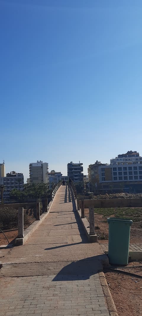 Jisr Omar Masqawi — photograph 4