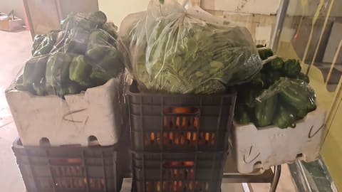 Souk Al Khodar Wal Fawakeh Bil Jomla — photograph 4