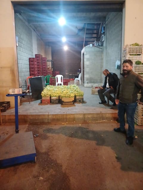 Souk Al Khodar Wal Fawakeh Bil Jomla — photograph 6