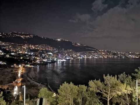 Casino du Liban — photograph 3