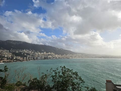 Casino du Liban — photograph 4