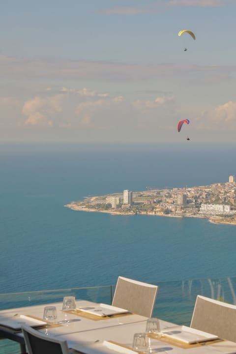 Amar Harissa — photograph 4