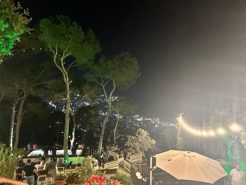 Olen bar — photograph 6