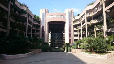 Siwar — photograph 5