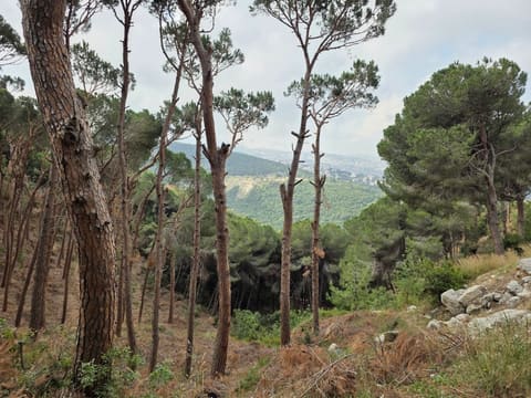 Darb el Qamar (Sentier de la Lune) — photograph 2