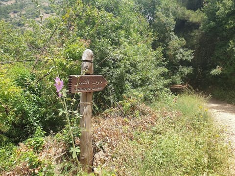 Darb el Qamar (Sentier de la Lune) — photograph 4