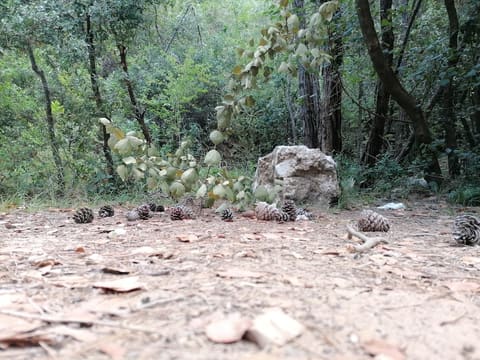 Darb el Qamar (Sentier de la Lune) — photograph 6