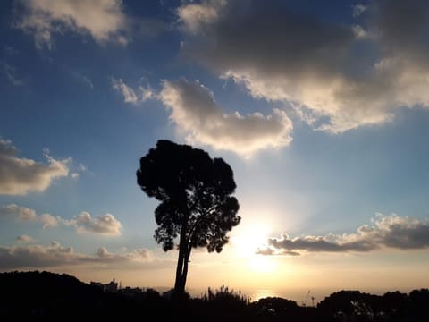 Beit El Chaar Park — photograph 4
