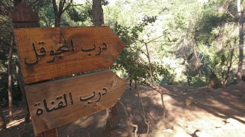 Darb Al Majouqal — photograph 4
