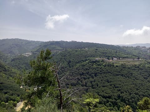 Sentier de la lune — photograph 3