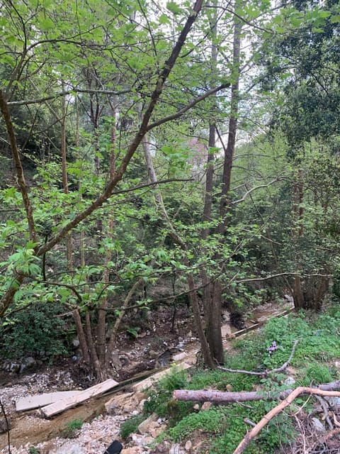 Second Chance Shelter — photograph 3