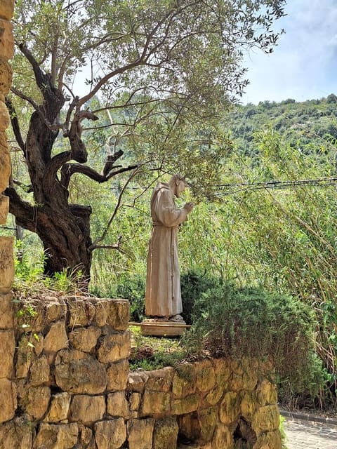 Domaine Rudy Rahme — photograph 2