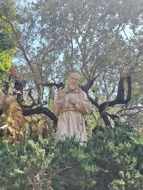 Domaine Rudy Rahme — photograph 4