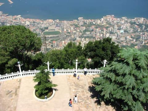 Statue of Our Lady of Lebanon — photograph 3