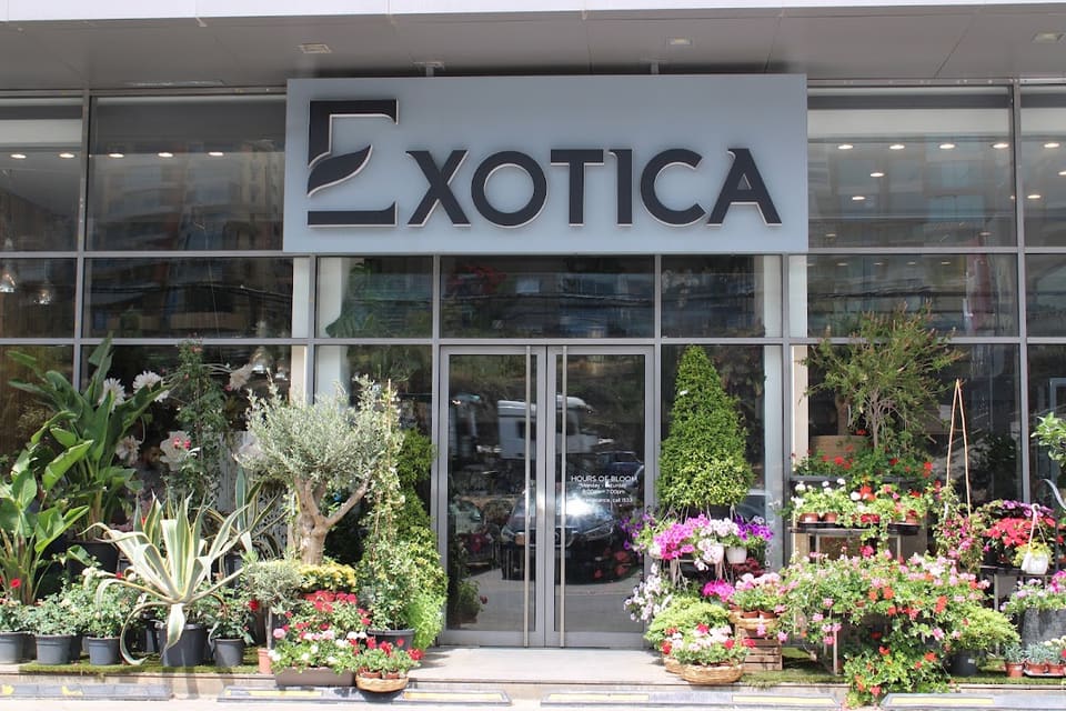 Exotica Sahel Alma