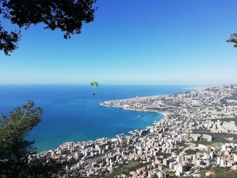La Cabane Harissa — photograph 2