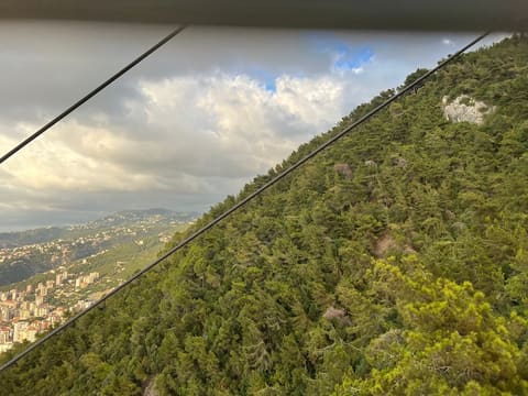 La Cabane Harissa — photograph 6
