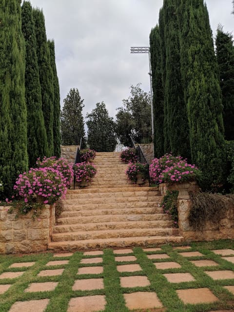 Domaine De Zekrit — photograph 5