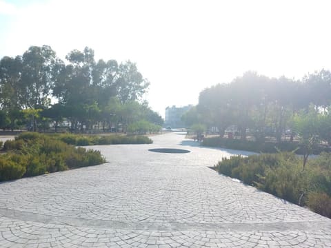 Tyre public Garden — photograph 2