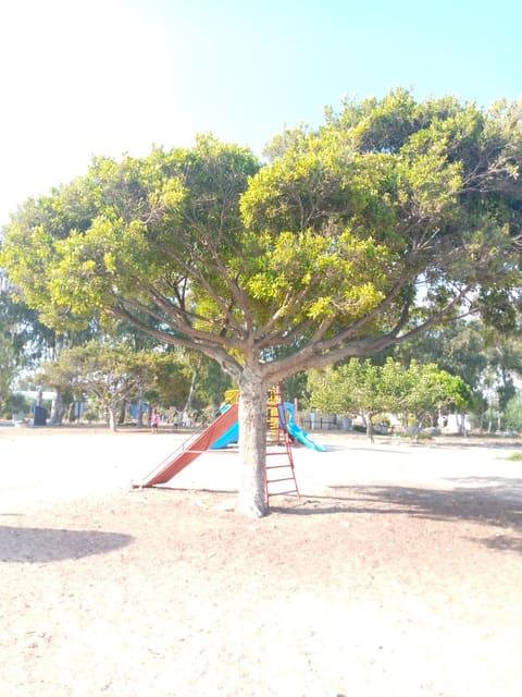 Tyre public Garden — photograph 3