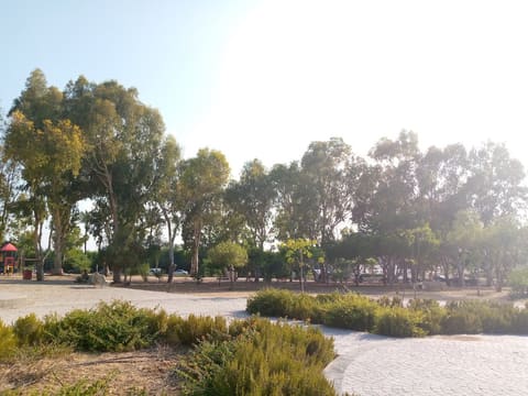 Tyre public Garden — photograph 4