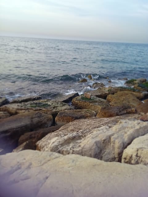 Corniche Sour — photograph 2