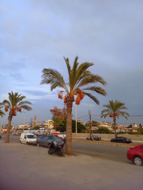 Corniche Sour — photograph 4