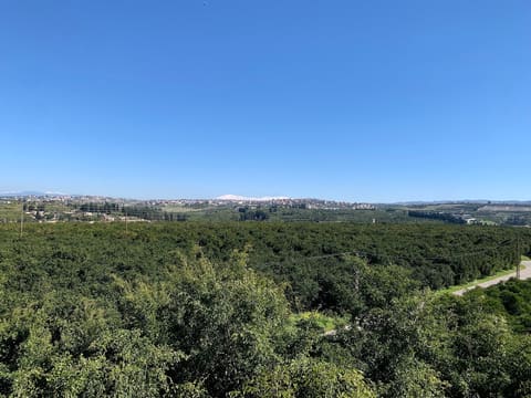 Hay El Hadaek — photograph 2