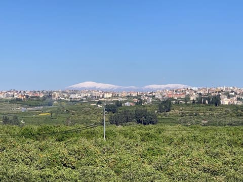 Hay El Hadaek — photograph 3