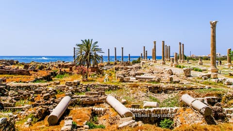 Ruins of Tyre : The Egyptian Port — photograph 2