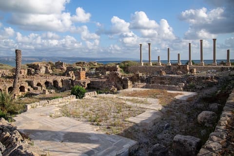 Ruins of Tyre : The Egyptian Port — photograph 3
