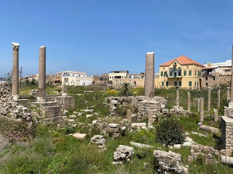 Ruins of Tyre : The Egyptian Port — photograph 4