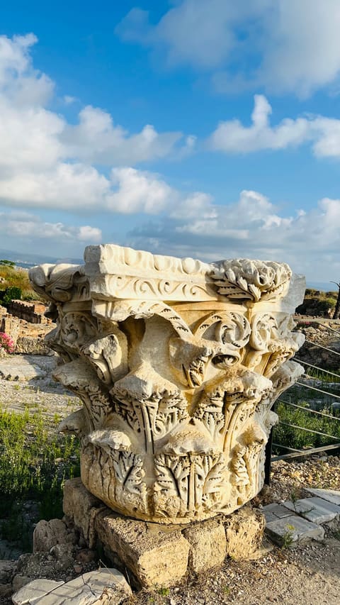 Ruins of Tyre : The Egyptian Port — photograph 5