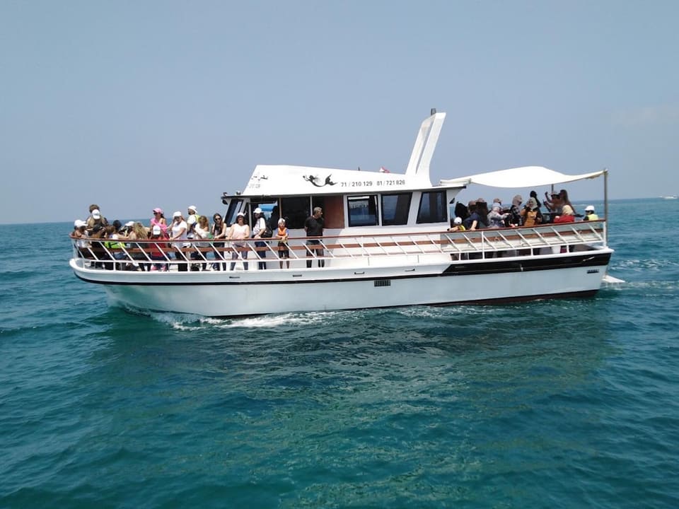 Muhieddien Boats