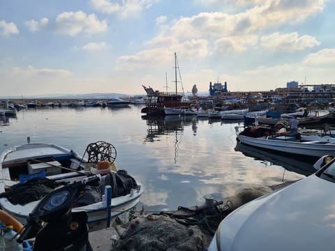 Muhieddien Boats — photograph 3
