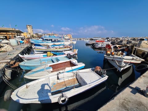 Muhieddien Boats — photograph 5