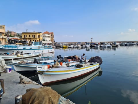 Muhieddien Boats — photograph 6