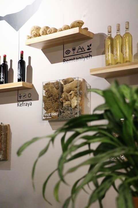 Vertical 33 Wine Room — photograph 6