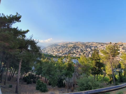 Park Joseph Tohme Skaff — photograph 5