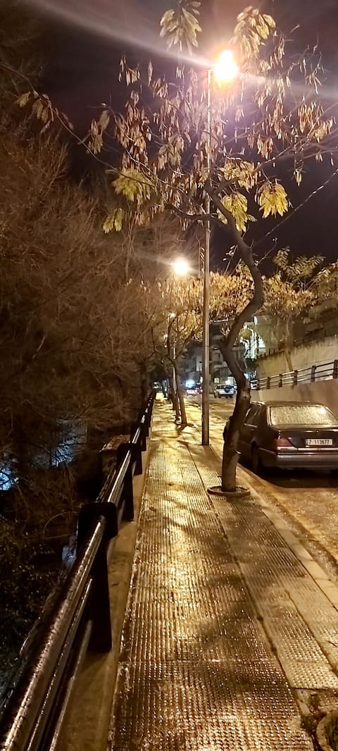 Memchiyeh Park — photograph 6