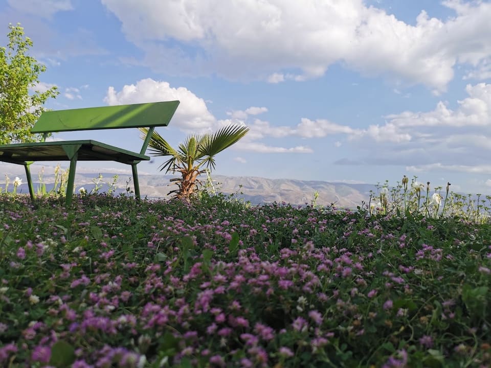 Mountain View Zahle