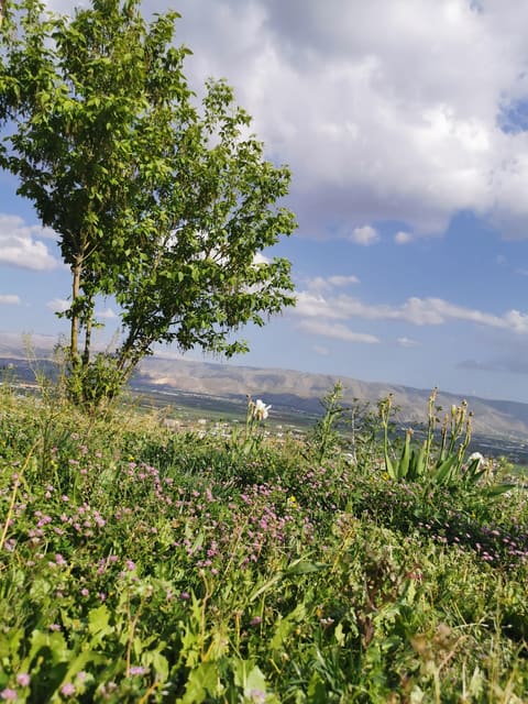 Mountain View Zahle — photograph 2