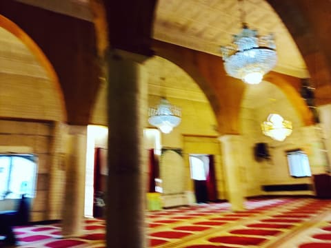 Serves as God's prophet Noah, peace be upon him — photograph 2