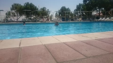 Sunny Land — photograph 3