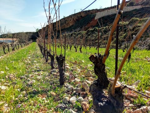 Domaine de Baal — photograph 4