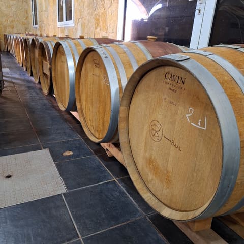 Domaine de Baal — photograph 6